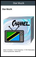 TV E Tanzanie capture d'écran 1