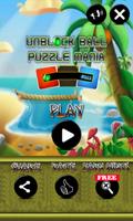 Unblock Ball Puzzle Mania poster