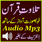 Al Quran Offline Tilawat Audio icon