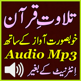 Al Quran Offline Tilawat Audio icon