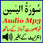 Perfect Surah Yaseen Audio ícone