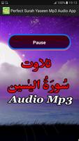 Perfect Surah Yaseen Audio capture d'écran 2