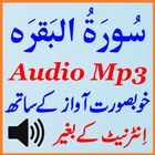 Surat Baqarah Special Mp3 App ícone
