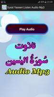 Surat Yaseen Listen Audio Mp3 capture d'écran 1