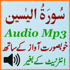 Surah Yaseen Full Audio Mp3 icône