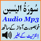 Surah Yaseen Special Audio Mp3 icône