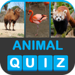 ZOOWI - Animal Quiz