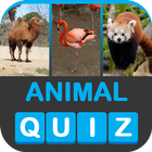 ZOOWI - Animal Quiz icône
