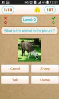ZOOWI Animals Quiz capture d'écran 3