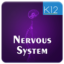 Nervous System of Mammals APK
