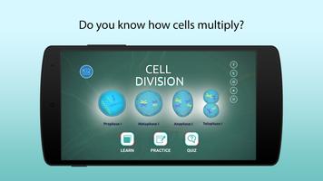 Process of Cell Division poster