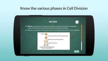 Process of Cell Division screenshot 2