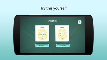 Process of Cell Division screenshot 3