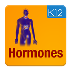 Hormones icono