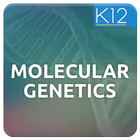 Genetics and Molecular Biology ícone