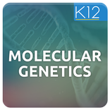Genetics and Molecular Biology