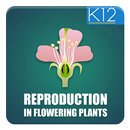 Reproduction-Flowering Plants APK