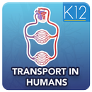 Transport in Humans Biology APK