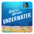 Underwater Sea Life for Kids
