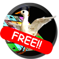 Trivial Oca Free