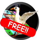 Trivial Oca Free-icoon