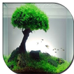 Aquascape Design Galerry