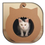 Cat House Design