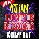 Ajian Luntur Busono Terlengkap APK