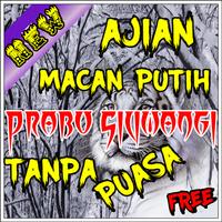 Ajian Macan Putih Tanpa Puasa Lengkap poster