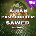 Ajian Pambungkem Sawer (Ular)