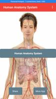 Human Anatomy System Affiche