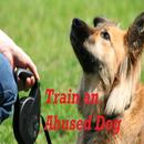 Train an Abused Dog APK