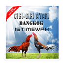 APK Ciri-ciri Ayam Bangkok Istimewah