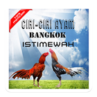 Ciri-ciri Ayam Bangkok Istimewah icône