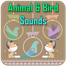 Animal & Birds Sounds Offline APK