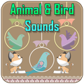 Animal & Birds Sounds Offline