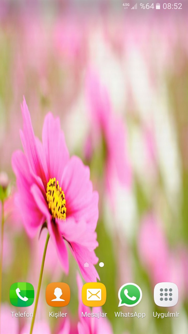 Flower live Wallpapers APK for Android Download