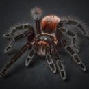 Get Rid of Spiders APK