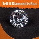 Tell If a Diamond is Real icône