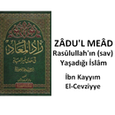 Hz Muhammedn Hayatı Zadul mead-APK