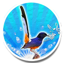 Bird Sounds Ringtone AZ APK