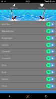 Bird Sounds Ringtone AZ 海报