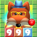 Number Shots