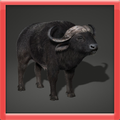 Bison Simulation