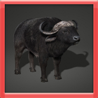 bisontes Simulación icono