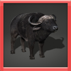 آیکون‌ Bison Simulation