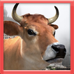 ”3D Cow Game