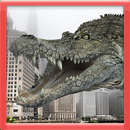 Dziki Alligator Run aplikacja