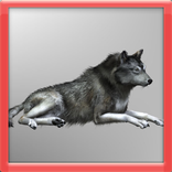 Forest Wolf 3D