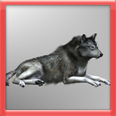 APK Forest Wolf 3D